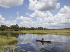 Rupununi Savannah Guide: Explore the Natural Wonders Rupununi Savannah Guyana