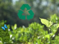 Sustainable Travel in Guyana: Your Guide to Responsible Tourism Sustainable Travel in Guyana