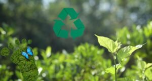 Sustainable Travel in Guyana: Your Guide to Responsible Tourism Sustainable Travel in Guyana