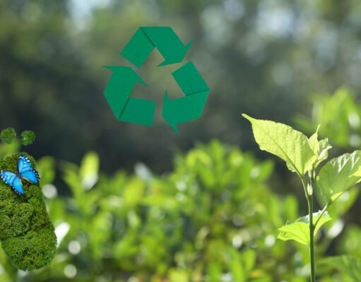 Sustainable Travel in Guyana: Your Guide to Responsible Tourism Sustainable Travel in Guyana