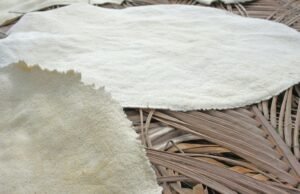 Cassava Bread: The Crispy Guyanese Flatbread with Indigenous Roots cassava-bread-recipe