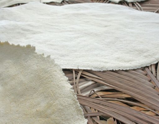 Cassava Bread: The Crispy Guyanese Flatbread with Indigenous Roots cassava-bread-recipe