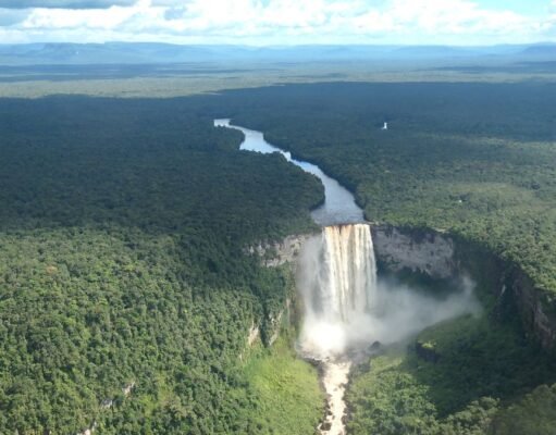 Guyana’s Rainforest Coverage: A Vital Environmental Asset guyana rainforest